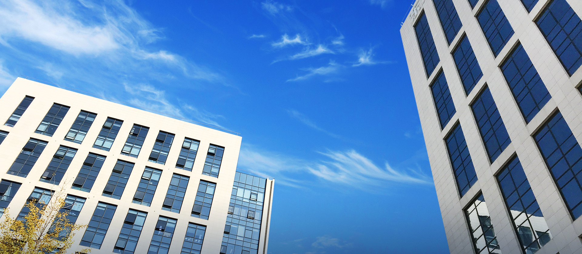 腳踏實(shí)地，心存高遠(yuǎn)